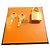 Chiusura Hermès in acciaio dorato per borse Hermès Birkin e Kelly, micro graffi Gold hardware