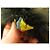 NUEVO GORRO FENDI DE PIEL DE ZORRO MARRÓN Castaño - vista 11