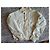 Belstaff Biker Jacke aus Nylon Creme - Ansicht 2