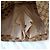 Gucci GG Monogramm Minirock Beige - Ansicht 6