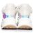 Sneakers Iridescenti Larry di Alexander McQueen. Bianco - vista 6