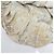 Conjunto 2 en 1 Paisley de Burberry Beige - vista 18