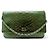 SAC A MAIN CHANEL WALLET ON CHAIN ED LIMITEE CUIR PYTHON BANDOULIERE WOC BAG Vert