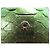 SAC A MAIN CHANEL WALLET ON CHAIN ED LIMITEE CUIR PYTHON BANDOULIERE WOC BAG Vert - vue 10