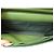 SAC A MAIN CHANEL WALLET ON CHAIN ED LIMITEE CUIR PYTHON BANDOULIERE WOC BAG Vert - vue 13