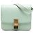 Classic Box Céline Celine Verde Piccola Scatola Classica in Pelle di Vitello