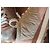 Sneakers Brunello Cucinelli in pelle Salmone Beige Oro Arancione - vista 13