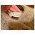 Abrigo Max Mara INTREND lana mohair alpaca gris - vista 11