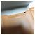 Autre Marque Borsa a Spalla con Patta Kabinett BOX Marrone Cammello - vista 17