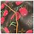 Borsa Boston Keepall 45 Monogramma Ciliegia Louis Vuitton Marrone Rosso - vista 6