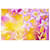 Bufanda rosa Atelier Versace con estampado de selva  - vista 4
