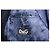 Cappotto da marinaio blu scuro Dolce & Gabbana - vista 6