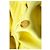 Abrigo de cachemira amarillo Bottega Veneta - vista 5