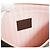 Louis Vuitton Ballerine Neverfull MM Damier Ebene Rose Marrone - vista 19