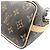 Noe Borsa a Spalla Nano Noé Monogramma Louis Vuitton Marrone - vista 7