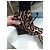 Botines de cuña con estampado de leopardo Lanvin talla 38 Castaño - vista 5