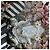 Alexander McQueen Multicolor Floral Geometric Print Jersey Bodycon Kleid Größe 40 Mehrfarben - Ansicht 7
