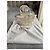 Bolso Cesta Dior Sombrero Lona Blanca y Dorada Mariposa Blanco Dorado - vista 2