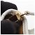 Borsa a mano Nano Bucket Louis Vuitton Marrone Bianco - vista 8