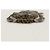 Bolsa mensageiro D ring Abbey pequena em lona GG Gucci Bege - vista 16