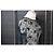 Ermanno Scervino Nero Pizzo Trasparente To Multicolore - vista 8