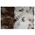 Abrigo de shearling Aurore de Nili Lotan Castaño Blanco - vista 7