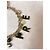 Delizioso bracciale DOLCE & GABBANA acciaio dorato charms "Desire" Nero Bianco D'oro - vista 12