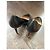 Chanel Classic Pumps schwarz Leder - vue 6