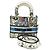 Bolsa de mão 2 em 1 Lady Dior da Christian Dior Multicor
