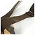 Borsa a Spalla Monogram Congo PM Louis Vuitton Marrone - vista 7