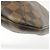 Borsa a Spalla Damier Bloomsbury PM Louis Vuitton Damier ebene - vista 3
