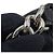 Chanel Matelasse Black Shoulder Bag - view 14