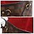 Borsa Tote Louis Vuitton Damier Neverfull PM Marrone - vista 7