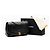 Chanel Diana Medium Flap Bag Schwarz