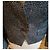 Zadig & Voltaire metallischer holografischer Blazer - Ansicht 5