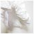 Autre Marque Top corto a maniche corte in pizzo peplum COMME des GARCONS Bianco - vista 4