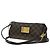 Louis Vuitton Eva Handbag Damier Brown