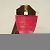 Mini Pochette Accessoires Monogram Vivienne di Louis Vuitton Marrone Rosa - vista 5