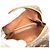 Borsa a tracolla Mini Amazon Monogramma Louis Vuitton Marrone - vista 16