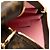 Mini Pochette Accessoires Vivienne a Parigi in Monogramma Marrone Louis Vuitton - vista 5