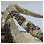 JIMMY CHOO Python High Heel Sandalen Braun Beige - Ansicht 17