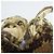 JIMMY CHOO Python High Heel Sandalen Braun Beige - Ansicht 8