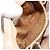 Borsa a Spalla GUCCI GG Plus Supreme in Pelle PVC Beige Oro Auth th6331 D'oro - vista 12