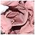 Autre Marque Borsa Mini Farabella in Suede 2way Stella McCartney Catena Rosa 391698 Auth am9156 Argento - vista 22