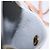 ASTUCCIO PER SIGARETTE LOUIS VUITTON Monogram Vernis Verde Grigio LV Auth BA6481 - vista 12