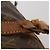 LOUIS VUITTON Borsa Boston Sac Souple 45 Monogram M41624 LV Auth 142475 Monogramma - vista 10