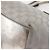 GUCCI GG Canvas Sherry Line Tote Bag Silber 131228 Auth bs30093 - Ansicht 13