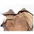 Borsa a Spalla Gucci GG Supreme Web Sherry Line PVC Beige 56 02 005 Auth ep11392 D'oro - vista 19