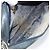 Borsa a Spalla GUCCI GG Plus Supreme PVC Blu Navy Oro Auth 146819 D'oro - vista 18