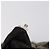 PRADA Backpack Nylon Gray Silver Auth bs30075 Brown Silvery - view 12